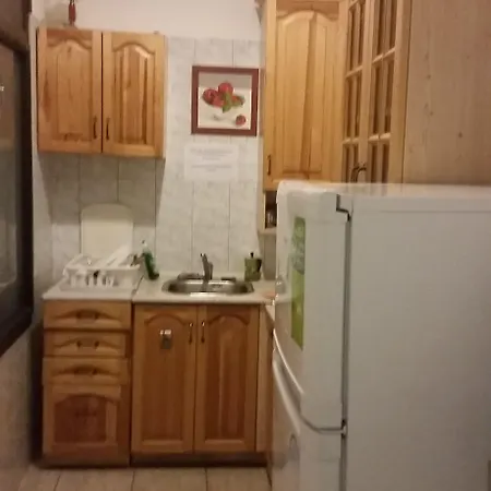 布达佩斯欧米茄酒店 布达佩斯